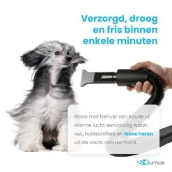 Qumax Professionele Hondenföhn Met 4 Opzetstukken – Waterblazer Voor Honden – Stil Design – Compact En Modern - Zwart -Dieren Benodigdheden Winkel 1200x1200 592