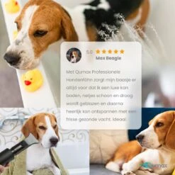 Qumax Professionele Hondenföhn Met 4 Opzetstukken – Waterblazer Voor Honden – Stil Design – Compact En Modern - Zwart -Dieren Benodigdheden Winkel 1200x1200 593