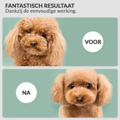 Hondenföhn/Waterblazer - Verstelbare Vermogen Standen (500W Tot 2400W) En Verstelbare Temperatuur - Zwart 15 Hondenföhn/Waterblazer - Verstelbare Vermogen Standen (500W Tot 2400W) En Verstelbare Temperatuur - Zwart -Dieren Benodigdheden Winkel 1200x1200 597