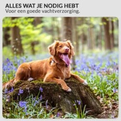 Hondenföhn/Waterblazer - Verstelbare Vermogen Standen (500W Tot 2400W) En Verstelbare Temperatuur - Zwart 18 Hondenföhn/Waterblazer - Verstelbare Vermogen Standen (500W Tot 2400W) En Verstelbare Temperatuur - Zwart -Dieren Benodigdheden Winkel 1200x1200 600