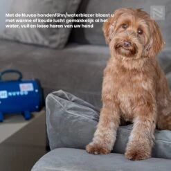 Nuvoo Professionele Hondenföhn / Waterblazer / Hondenborstel Met 3 Opzetstukken - Verstelbare Vermogen Tot 2200W - Warme / Koude Stand - Blauw 20 Nuvoo Professionele Hondenföhn / Waterblazer / Hondenborstel Met 3 Opzetstukken - Verstelbare Vermogen Tot 2200W - Warme / Koude Stand - Blauw -Dieren Benodigdheden Winkel 1200x1200 612