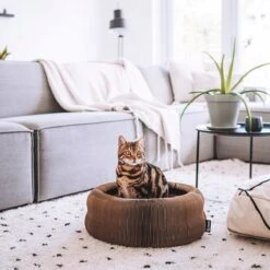 District 70 MAZE 3-in-1 Opvouwbare Kartonnen Kattenmand - Inclusief Catnip Balletje - Voor Slapen, Spelen En Krabben! -Dieren Benodigdheden Winkel 1200x1200 62