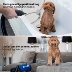 Nuvoo Professionele Hondenföhn / Waterblazer / Hondenborstel Met 3 Opzetstukken - Verstelbare Vermogen Tot 2200W - Warme / Koude Stand - Roze 15 Nuvoo Professionele Hondenföhn / Waterblazer / Hondenborstel Met 3 Opzetstukken - Verstelbare Vermogen Tot 2200W - Warme / Koude Stand - Roze -Dieren Benodigdheden Winkel 1200x1200 620