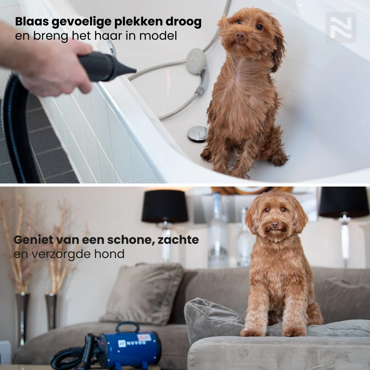 Nuvoo Professionele Hondenföhn / Waterblazer / Hondenborstel Met 3 Opzetstukken - Verstelbare Vermogen Tot 2200W - Warme / Koude Stand - Roze 7 Nuvoo Professionele Hondenföhn / Waterblazer / Hondenborstel Met 3 Opzetstukken - Verstelbare Vermogen Tot 2200W - Warme / Koude Stand - Roze - Afbeelding 5