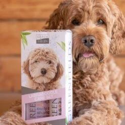Greenfields Labradoodle Vacht Verzorgingsset - Shampoo En Anti-Klit Spray Voor Langharige Of Krullende Vacht -Dieren Benodigdheden Winkel 1200x1200 637