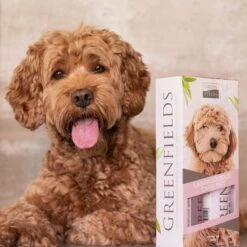 Greenfields Labradoodle Vacht Verzorgingsset - Shampoo En Anti-Klit Spray Voor Langharige Of Krullende Vacht -Dieren Benodigdheden Winkel 1200x1200 638