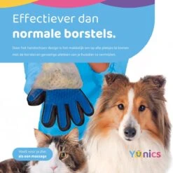 YUNICS® Dieren Handschoen - Haarverwijderaar Voor Huisdieren - Kattenborstel - Hondenborstel - Hondenkam - Kattenhaarverwijderaar - Blauw 9 YUNICS® Dieren Handschoen - Haarverwijderaar Voor Huisdieren - Kattenborstel - Hondenborstel - Hondenkam - Kattenhaarverwijderaar - Blauw -Dieren Benodigdheden Winkel 1200x1200 643