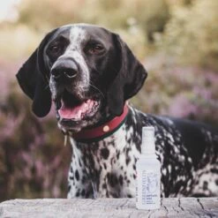 Hondenparfum Spray In 4 Geuren - Greenfields - Alchoholvrije En PH Neutrale Formule Tegen Onaangename Geurtjes - 50ml - Exotic -Dieren Benodigdheden Winkel 1200x1200 653