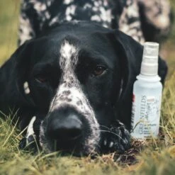 Hondenparfum Spray In 4 Geuren - Greenfields - Alchoholvrije En PH Neutrale Formule Tegen Onaangename Geurtjes - 50ml - Wild -Dieren Benodigdheden Winkel 1200x1200 661