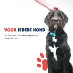 Anti Blafband - Blafband Voor Honden - Anti Blaf Apparaat - Blafband - Diervriendelijk & Zonder Schok -Dieren Benodigdheden Winkel 1200x1200 689