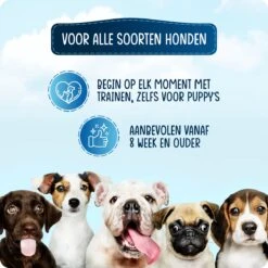 VEDIC® - Luxe Clicker Met Fluit - Clickertraining Voor Honden - Zwart - Bevestigingsring - Fluit - Hondentraining 15 VEDIC® - Luxe Clicker Met Fluit - Clickertraining Voor Honden - Zwart - Bevestigingsring - Fluit - Hondentraining -Dieren Benodigdheden Winkel 1200x1200 700