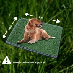 Merkloos Gtrise Hondentoilet Met 2 Matten - Out/Indoor - Zindelijkheidstraining Ebook - Dieren Wc -Dieren Benodigdheden Winkel 1200x1200 712