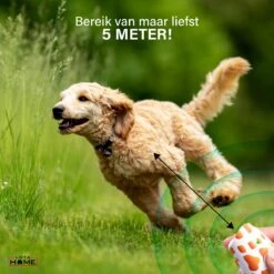 Merkloos LotaHome - Anti Blaf Apparaat - Hondentrainer Voor Binnen En Buiten - Bereik Tot 15 Meter - Diervriendelijk - Zonder Schok - Ultrasone - Voor Alle Honden - Inclusief Clicker -Dieren Benodigdheden Winkel 1200x1200 716