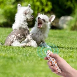 Merkloos LotaHome - Anti Blaf Apparaat - Hondentrainer Voor Binnen En Buiten - Bereik Tot 15 Meter - Diervriendelijk - Zonder Schok - Ultrasone - Voor Alle Honden - Inclusief Clicker -Dieren Benodigdheden Winkel 1200x1200 717