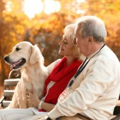 Merkloos LotaHome - Anti Blaf Apparaat - Hondentrainer Voor Binnen En Buiten - Bereik Tot 15 Meter - Diervriendelijk - Zonder Schok - Ultrasone - Voor Alle Honden - Inclusief Clicker -Dieren Benodigdheden Winkel 1200x1200 718