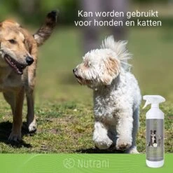 Nutrani Geurverwijderaar, 750 Ml, Natuurlijke Enzymreiniger Als Gebruiksklare Spray Met Biologische Werking, Verwijdert Geurtjes, Urine, Poep En Vlekken Van Honden En Katten -Dieren Benodigdheden Winkel 1200x1200 725