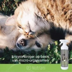 Nutrani Geurverwijderaar, 750 Ml, Natuurlijke Enzymreiniger Als Gebruiksklare Spray Met Biologische Werking, Verwijdert Geurtjes, Urine, Poep En Vlekken Van Honden En Katten -Dieren Benodigdheden Winkel 1200x1200 726