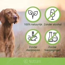 Nutrani Geurverwijderaar, 750 Ml, Natuurlijke Enzymreiniger Als Gebruiksklare Spray Met Biologische Werking, Verwijdert Geurtjes, Urine, Poep En Vlekken Van Honden En Katten -Dieren Benodigdheden Winkel 1200x1200 727