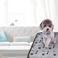 Jooba Puppy Training Pads - Wasbare Puppy Pads 2 Stuks - Hondentoilet - 70x50cm - Puppy 17 Jooba Puppy Training Pads - Wasbare Puppy Pads 2 Stuks - Hondentoilet - 70x50cm - Puppy -Dieren Benodigdheden Winkel 1200x1200 748