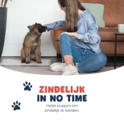 JC Pets Premium Puppy Training Pads - Hondentoilet - Zindelijkheidstraining Hond - 100 Stuks - 60 X 45 Cm 16 JC Pets Premium Puppy Training Pads - Hondentoilet - Zindelijkheidstraining Hond - 100 Stuks - 60 X 45 Cm -Dieren Benodigdheden Winkel 1200x1200 755