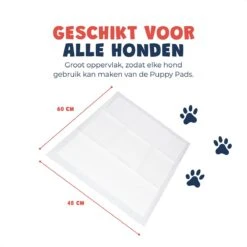 JC Pets Premium Puppy Training Pads - Hondentoilet - Zindelijkheidstraining Hond - 100 Stuks - 60 X 45 Cm 17 JC Pets Premium Puppy Training Pads - Hondentoilet - Zindelijkheidstraining Hond - 100 Stuks - 60 X 45 Cm -Dieren Benodigdheden Winkel 1200x1200 756