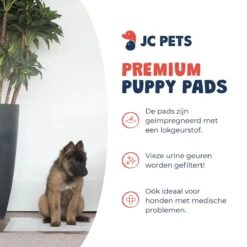 JC Pets Premium Puppy Training Pads - Hondentoilet - Zindelijkheidstraining Hond - 50 Stuks - 60 X 45 Cm 15 JC Pets Premium Puppy Training Pads - Hondentoilet - Zindelijkheidstraining Hond - 50 Stuks - 60 X 45 Cm -Dieren Benodigdheden Winkel 1200x1200 764