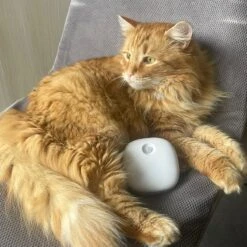 Pettadore Air Insight - Kattenbak Geurverdrijver & Teller - Actieve Zuurstof En Ionen - Oplaadbaar - Met App -Dieren Benodigdheden Winkel 1200x1200 794