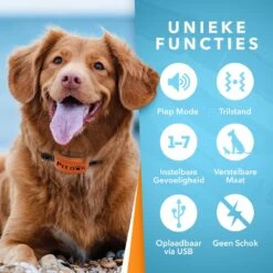 PET DOG® | Anti Blafband Voor Honden | 3 T/m 60 Kg | Oplaadbaar | Anti Blaf Band | Trainingsband | Vibratie En Geluid | Diervriendelijk | Shock Aan/uit Instelbaar 10 PET DOG® | Anti Blafband Voor Honden | 3 T/m 60 Kg | Oplaadbaar | Anti Blaf Band | Trainingsband | Vibratie En Geluid | Diervriendelijk | Shock Aan/uit Instelbaar -Dieren Benodigdheden Winkel 1200x1200 811