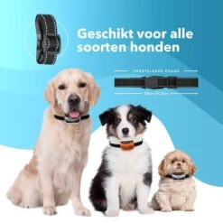 PET DOG® | Anti Blafband Voor Honden | 3 T/m 60 Kg | Oplaadbaar | Anti Blaf Band | Trainingsband | Vibratie En Geluid | Diervriendelijk | Shock Aan/uit Instelbaar 12 PET DOG® | Anti Blafband Voor Honden | 3 T/m 60 Kg | Oplaadbaar | Anti Blaf Band | Trainingsband | Vibratie En Geluid | Diervriendelijk | Shock Aan/uit Instelbaar -Dieren Benodigdheden Winkel 1200x1200 813