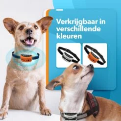 PET DOG® | Anti Blafband Voor Honden | 3 T/m 60 Kg | Oplaadbaar | Anti Blaf Band | Trainingsband | Vibratie En Geluid | Diervriendelijk | Shock Aan/uit Instelbaar 14 PET DOG® | Anti Blafband Voor Honden | 3 T/m 60 Kg | Oplaadbaar | Anti Blaf Band | Trainingsband | Vibratie En Geluid | Diervriendelijk | Shock Aan/uit Instelbaar -Dieren Benodigdheden Winkel 1200x1200 815