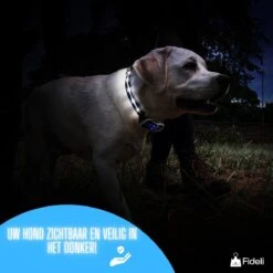 Fideli Anti Blafband - Zonder Schok - Grote En Kleine Honden - Oplaadbaar - LED Verlichte Band -Dieren Benodigdheden Winkel 1200x1200 829