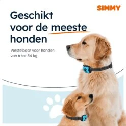 Simmy Anti Blafband - Diervriendelijke Opvoedingshalsband - Zwart En Blauw - Diervriendelijk - Zonder Schok - Anti Blaf Band Voor Grote En Kleine Honden 19 Simmy Anti Blafband - Diervriendelijke Opvoedingshalsband - Zwart En Blauw - Diervriendelijk - Zonder Schok - Anti Blaf Band Voor Grote En Kleine Honden -Dieren Benodigdheden Winkel 1200x1200 843