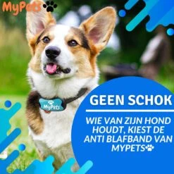 MyPets™ Anti-blafband - Anti Blaf Apparaat - Voor Kleine Honden En Grote Honden - Diervriendelijk - Opvoedingshalsband - Trainingshalsband - 2022/2023 Versie - Inclusief Batterijen -Dieren Benodigdheden Winkel 1200x1200 847