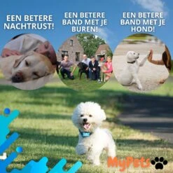 MyPets™ Anti-blafband - Anti Blaf Apparaat - Voor Kleine Honden En Grote Honden - Diervriendelijk - Opvoedingshalsband - Trainingshalsband - 2022/2023 Versie - Inclusief Batterijen -Dieren Benodigdheden Winkel 1200x1200 850
