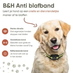 Premium Anti Blafband - Diervriendelijke Opvoedingshalsband Zonder Schok - Trainingshalsband Voor Grote En Kleine Honden - Anti Blaf Band - Correctie Halsband -Dieren Benodigdheden Winkel 1200x1200 890