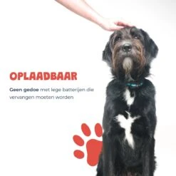 Anti Blafband - Blafband Voor Honden - Oplaadbaar - Anti Blaf Apparaat - Blafband - Diervriendelijk 17 Anti Blafband - Blafband Voor Honden - Oplaadbaar - Anti Blaf Apparaat - Blafband - Diervriendelijk -Dieren Benodigdheden Winkel 1200x1200 901