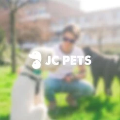 Anti Blafband - Blafband Voor Honden - Oplaadbaar - Anti Blaf Apparaat - Blafband - Diervriendelijk 18 Anti Blafband - Blafband Voor Honden - Oplaadbaar - Anti Blaf Apparaat - Blafband - Diervriendelijk -Dieren Benodigdheden Winkel 1200x1200 902