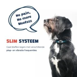 Anti Blafband - Blafband Voor Honden - Oplaadbaar - Anti Blaf Apparaat - Blafband - Diervriendelijk 21 Anti Blafband - Blafband Voor Honden - Oplaadbaar - Anti Blaf Apparaat - Blafband - Diervriendelijk -Dieren Benodigdheden Winkel 1200x1200 905