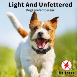 NIIYEBU Anti Blafband - Blafbanden Voor Honden - Anti Blaf Apparaat - Diervriendelijk - Zonder Schok - Vibratie En Audio -Dieren Benodigdheden Winkel 1200x1200 911