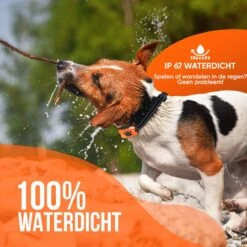 Strex Anti Blafband Voor Honden - 3-60KG - Oplaadbaar - Zonder Schok - Vibratie En Audio - Diervriendelijk - Anti Blaf Band - Anti Blaf Apparaat - Opvoedingshalsband Alle Honden -Dieren Benodigdheden Winkel 1200x1200 919