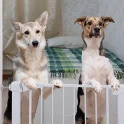 Nobleza 47B4V - Hondenhek - Metaal - H76 X L75-82 Cm - Wit -Dieren Benodigdheden Winkel 1200x1200 935