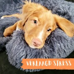 Origineel Hondendeken Voor Bank– Hondenkleed Fluffy – Pluche Hondenbed - Hondenmand Premium - Volledig Afritsbaar 26 Origineel Hondendeken Voor Bank– Hondenkleed Fluffy – Pluche Hondenbed - Hondenmand Premium - Volledig Afritsbaar -Dieren Benodigdheden Winkel 1200x1200 96