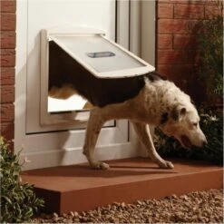 Petsafe 760 Hondenluik - L - Wit - 37 X 31,4 Cm 27 Petsafe 760 Hondenluik - L - Wit - 37 X 31,4 Cm -Dieren Benodigdheden Winkel 1200x1200 974
