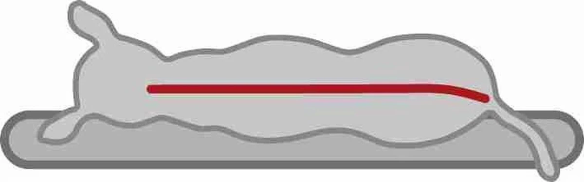 Trixie Vitaal Orthopedische Kussen Taupe/Lichtgrijs - 80 X 50 CM 5 Trixie Vitaal Orthopedische Kussen Taupe/Lichtgrijs - 80 X 50 CM - Afbeelding 3