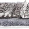 Nobleza Benchkussen - Dierenkussen - Hondenkussen - Kattenkussen - Benchmat - Dierenmat - Hondenmat - Kattenmat - Grijs - Maat S -Dieren Benodigdheden Winkel 1200x531