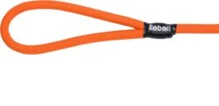 Rebel Petz - Honden Trainingslijn Met Halsband - Taupe, Zwart, Groen & Oranje - Maat Small Of Large - Kleur: Oranje, Maat: Large -Dieren Benodigdheden Winkel 1200x585 2