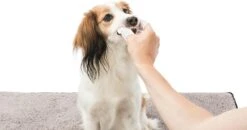 Trixie Verzorgingsvinger - 50 Stuks -Dieren Benodigdheden Winkel 1200x630 1