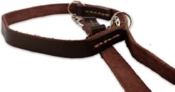 Multifunctionele Hondenriem - 220cm - Bruin - Leren Hondenriem - 100% Volnerfleer - Hondenriem Leer - Leiband Hond 16 Multifunctionele Hondenriem - 220cm - Bruin - Leren Hondenriem - 100% Volnerfleer - Hondenriem Leer - Leiband Hond -Dieren Benodigdheden Winkel 1200x631 1