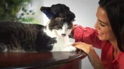 Vacht Verzorgingsborstel Voor Huisdieren - Blauw - LimitedDeals - Voor Honden Katten Konijnen Paarden - Tevens Massage Handschoen Voor Dieren! - Goed Voor De Verzorging Van De Vacht 18 Vacht Verzorgingsborstel Voor Huisdieren - Blauw - LimitedDeals - Voor Honden Katten Konijnen Paarden - Tevens Massage Handschoen Voor Dieren! - Goed Voor De Verzorging Van De Vacht -Dieren Benodigdheden Winkel 1200x674