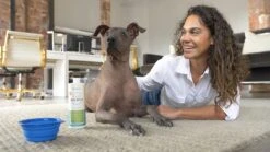 OxyFresh Pet Mondwater Hond En Kat. Helpt Tegen Tandsteen, Plak En Vieze Ademgeurtjes 10 OxyFresh Pet Mondwater Hond En Kat. Helpt Tegen Tandsteen, Plak En Vieze Ademgeurtjes -Dieren Benodigdheden Winkel 1200x675 1
